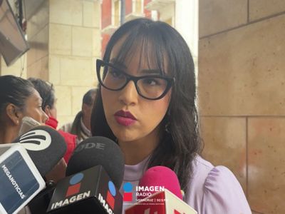 Abogada señala falta de cifras exactas sobre violencia vicaria en el Estado de Veracruz