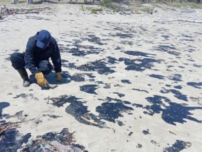 Manchas de hidrocarburo afectan playas y fauna en Veracruz