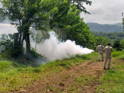 Veracruz refuerza acciones contra el dengue