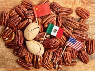 China impone medidas antidumping a la nuez pecana mexicana