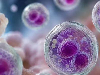Brote de ciclosporiasis en Estados Unidos mantiene bajo investigación productos vinculados con México