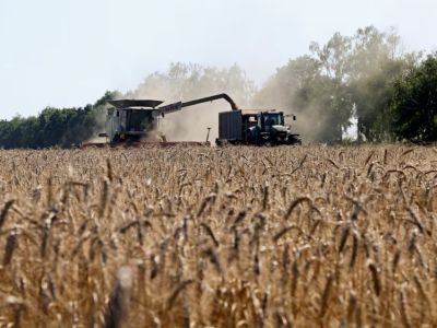 Ataques en el mar Negro golpean exportaciones de cereales de Ucrania y generan preocupación mundial
